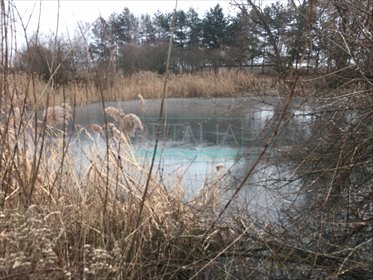 działka na sprzedaż 38400m2 działka Kotowice