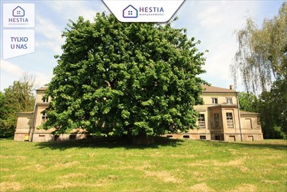 lokal użytkowy na sprzedaż 1680m2 lokal użytkowy Strzyżno