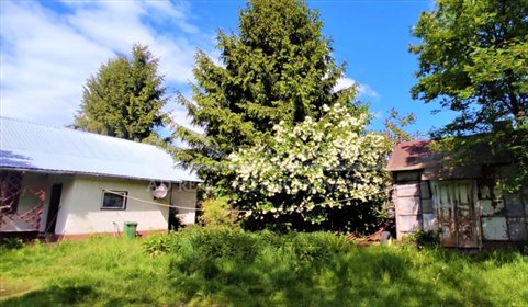 lokal użytkowy na sprzedaż 3800m2 lokal użytkowy Kopanina Kaliszańska, Kopanina Kaliszańska