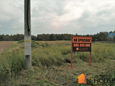 Działka budowlana na sprzedaż Grzybów, Grzybów 3 259m2 Foto 5
