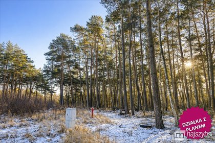 Polecam działkę usługową 3246 m² w Dziwnowie z lasem i Natura 2000 działka Dziwnów