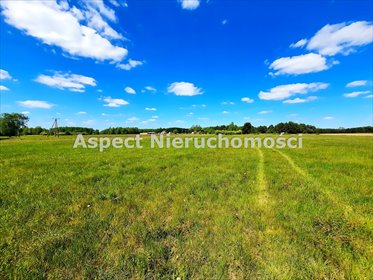 działka na sprzedaż 3001m2 działka Baciuty