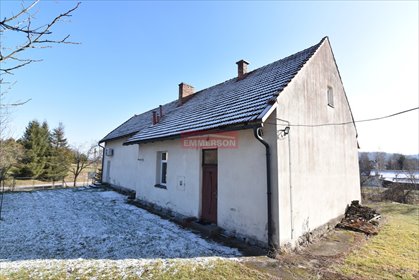 Lokal użytkowy na wynajem Gdów 280m2 Foto 6