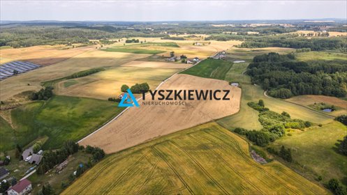 działka na sprzedaż 38300m2 działka Szczodrowo