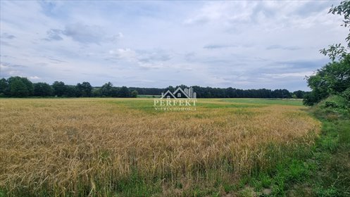 działka na sprzedaż 79600m2 działka Gniewkowo