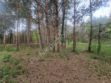 Działka 1130 m2 pod dom w otoczeniu natury, media, prywatność działka Strzeniówka