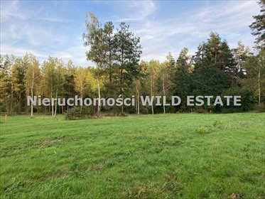 działka na sprzedaż 4588m2 działka Solina, Berezka