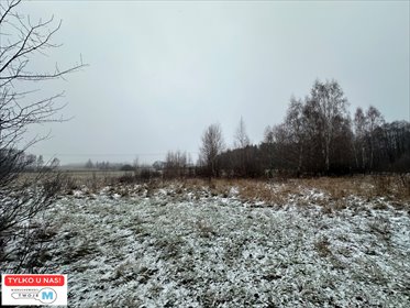 działka na sprzedaż 43100m2 działka Śladków Duży, Śladków Duży, Śladków Duży