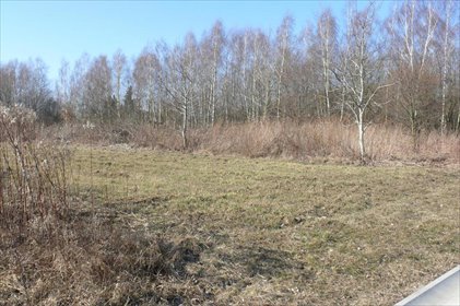 działka na sprzedaż 5343m2 działka Nałęczów