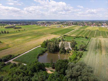 działka na sprzedaż 15124m2 działka Pęgów, Jana Klicha