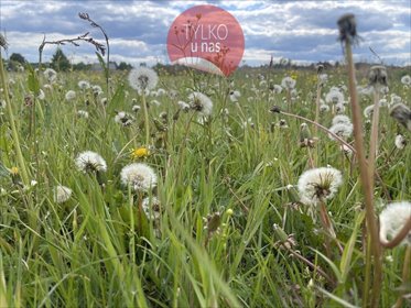 działka na sprzedaż 41902m2 działka Ciemne
