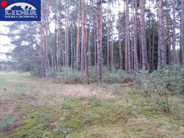działka na sprzedaż 65916m2 działka Łęczno