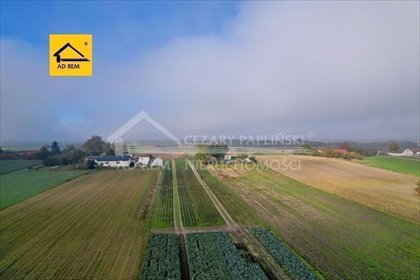 Działka 10 017 m² z stawem i mediami - zapraszam działka Zezulin Niższy, Zezulin
