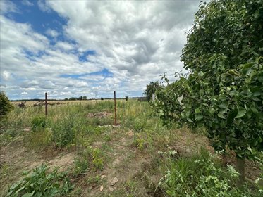 Działka budowlana, 410m2, Kalino, gm.Rzgów działka Kalino