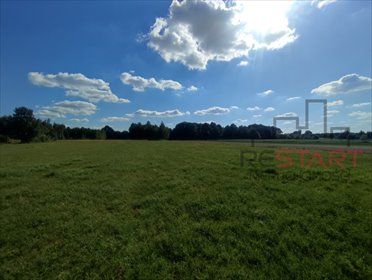 Działka budowlana i rolna 26 432 m² w Aleksandrii polecam działka Aleksandria