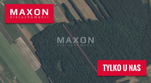 Działka leśna w Orzeszówce 8 000 m2 – inwestycja i relaks działka Orzeszówka