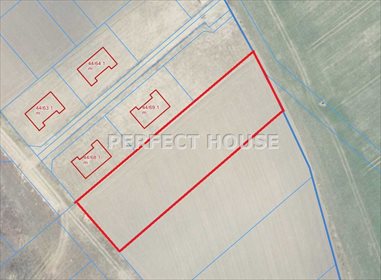 Działka inna na sprzedaż Trzcielin 3 000m2 Foto 2