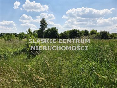 Działka budowlana na sprzedaż Dąbrowa Górnicza, Zielona, Wiejska 21 319m2 Foto 7
