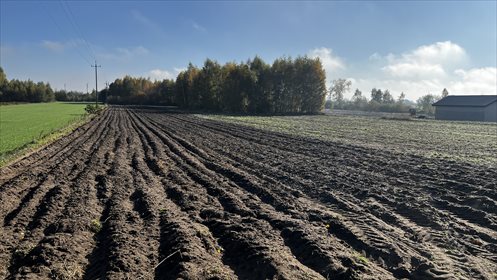 działka na sprzedaż 14348m2 działka Olszówka