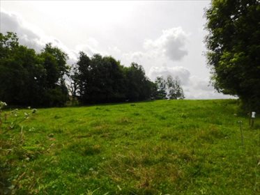 Działka rolna na sprzedaż Szczepanki 91 700m2 Foto 7