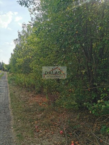 działka na sprzedaż 1000m2 działka Krupia Wólka