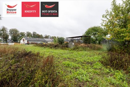 działka na sprzedaż 4585m2 działka Leźno, Aleja Lipowa