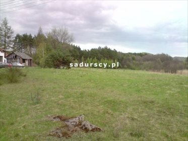 Działka budowlana na sprzedaż Frywałd 25 000m2 Foto 5