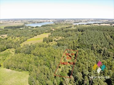 Działka rolna na sprzedaż Wojtkowizna 3 400m2 Foto 2
