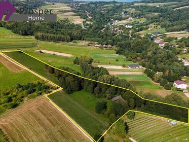 Duża działka 2,08 ha z widokami, dom i potencjałem - polecam! działka Wola Rafałowska, Wola Rafałowska