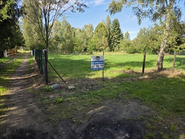 Sprzedam działkę rekreacyjną 1000 m² z dostępem do jeziora działka Szczechy Małe