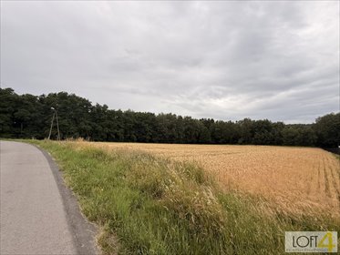 Działka 58 arów z warunkami zabudowy - zapraszam działka Wojnicz