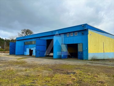 Magazyn na wynajem Brzoza 650m2 Foto 2