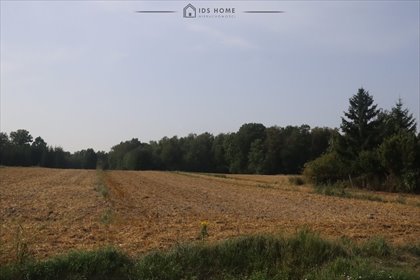 Działka 6700 m2 w Franciszkowie z mediami i lasem działka Franciszków