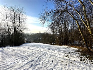 działka na sprzedaż 2300m2 działka Bolechowice, Winnica