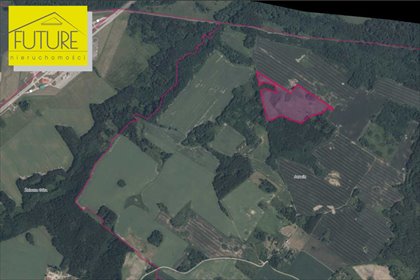 Działka rolna 10,7 ha z dostępem do drogi - polecam działka Żelazna Góra