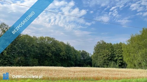 działka na sprzedaż 8900m2 działka Kozy, Spółdzielcza