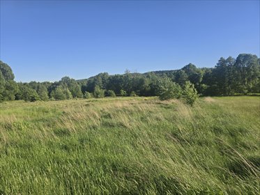 Działka 1500 m² z mediami, las, MPZP, Kajetanów działka Kajetanów