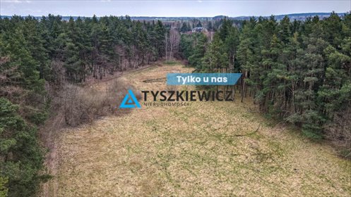 działka na sprzedaż 7500m2 działka Gołębiewo Wielkie, Maciejki