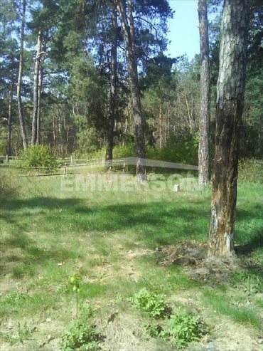 Działka budowlana na sprzedaż Józefów, Michalin 1 874m2 Foto 4