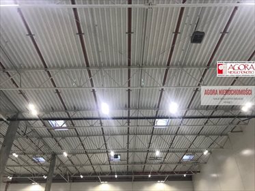 Magazyn na wynajem Kraków, Bieżanów-Prokocim, Bieżanów-Prokocim 2 154m2 Foto 3