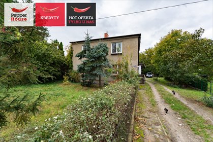 Polecam dom 160 m² z dwoma niezależnymi mieszkaniami w Kurzętniku dom Kurzętnik