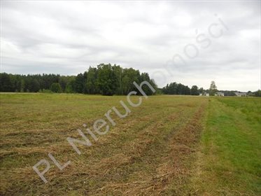 Działka rolna na sprzedaż Wólka-Konstancja 25 520m2 Foto 1