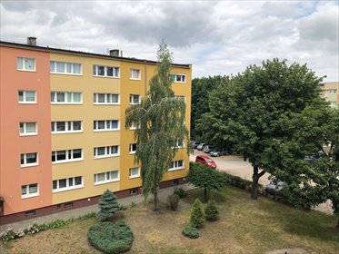 mieszkanie na wynajem 30m2 mieszkanie Poznań, Grunwald, Stary Grunwald, Brzask