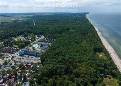 Lokal użytkowy na sprzedaż Pustkowo 7 500m2 Foto 3