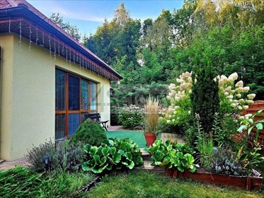 Dom z dużą działką, klimatyzacją i poddaszem 100 m² - polecam! dom Adamowizna
