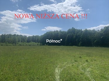 Działka 1936 m² z mediami, las i spokój - polecam działka Ciekocino