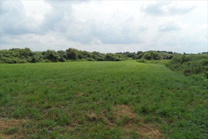 Działka inna na sprzedaż Dalewo 7 722m2 Foto 4