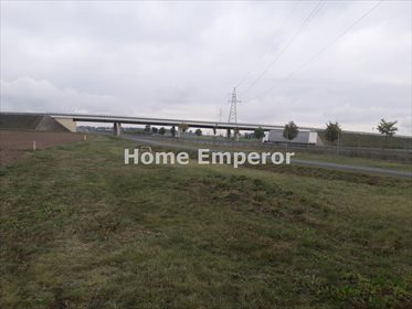 Działka budowlana na sprzedaż Czerlejnko 22 915m2 Foto 2