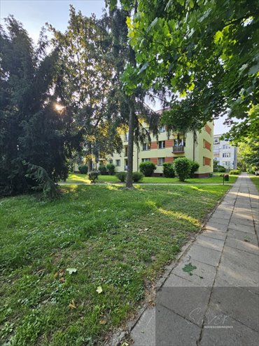 mieszkanie na sprzedaż 39m2 mieszkanie Witki