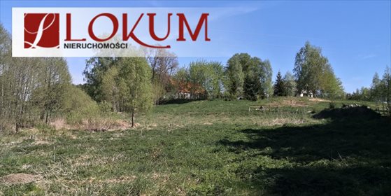 Działka budowlana na sprzedaż Biały Bukowiec 59 600m2 Foto 2